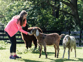 Wendenkönigs kleine Spreewald- Auszeit im Winter