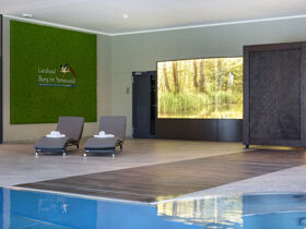 Wendenkönigs kleine Spreewald- Auszeit im Winter