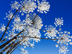 Einfach mal raus - im Winter in den Spreewald