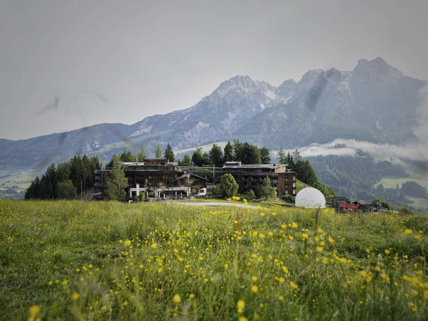 4+1 Sommer-Special im Holzhotel in Leogang inkl. Bio Kulinarik