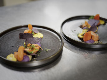 4+1 Sommer-Special im Holzhotel in Leogang inkl. Bio Kulinarik
