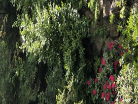 5 Wohlfühltage im Sauerland inkl. Wellness, Massage & Verwöhnhalbpension 1