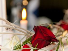 Reise für Verliebte - 2026