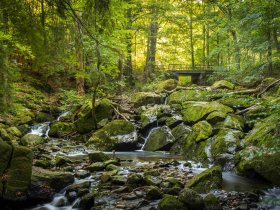Kurze Harz-Auszeit im Ilsetal