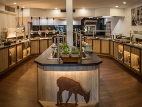 Genießer- Auszeit im Grünen- 8 Tage in der Lüneburger Heide       