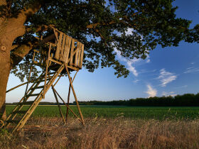 Genießer- Auszeit im Grünen- 8 Tage in der Lüneburger Heide       