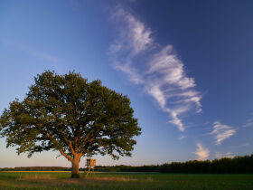 Genießer- Auszeit im Grünen- 8 Tage in der Lüneburger Heide       