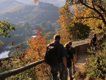 Bild 6 von 32