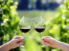 Romantische Tage inkl. Sektfrühstück und Weinprobe  in der Region Rhein - Hunsrück - Nahe