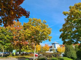 Osterarrangement 3 Nächte im Saarland