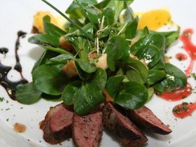 Sonnenblicker Wander-Tage in Hessen