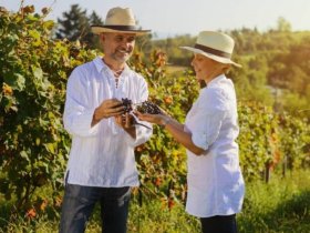 Immer wieder Sonntags in der Pfalz inkl. Abendessen & Sekt