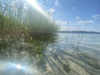 Bild 29 von 37