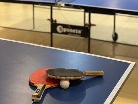 Wellness Auszeit am Plauer See inkl. Abendessen 2 Tage