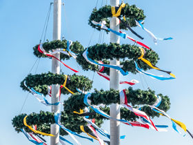Maibaum - Eine Tradition im Allgäu 