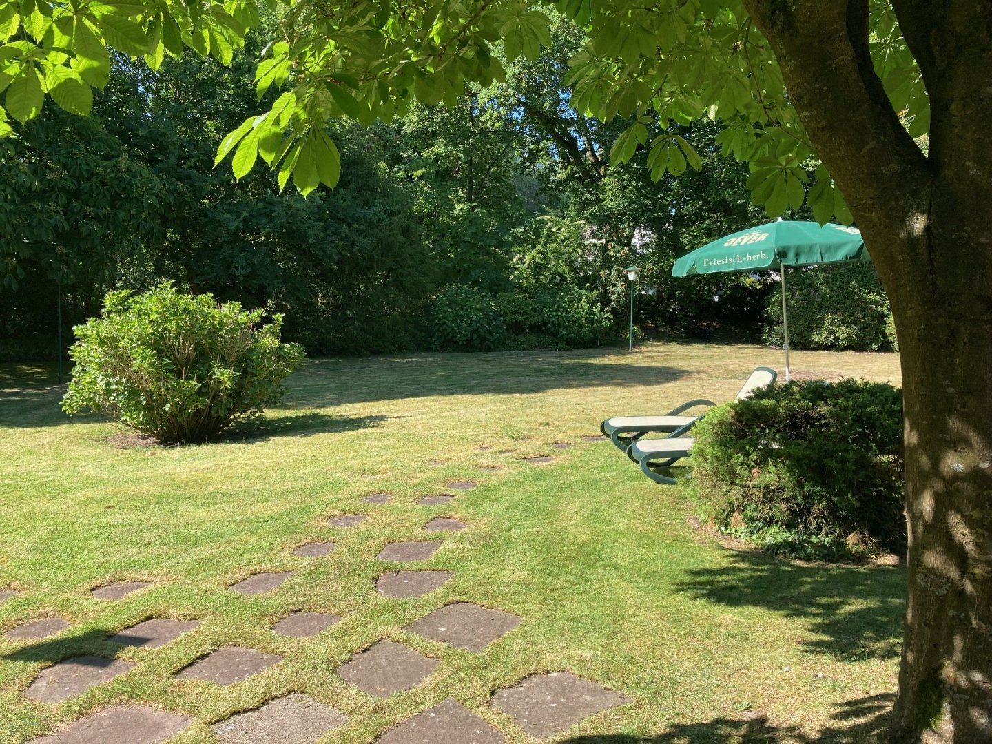 Schnupperangebot im Sommer im Ammerland