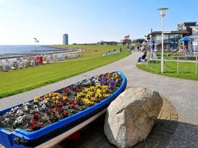 Weltnaturerbe Wattenmeer in Büsum