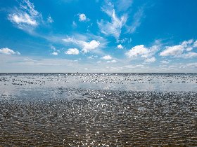Weltnaturerbe Wattenmeer in Büsum