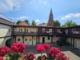 Altstadt Musiknacht - exclusives Angebot