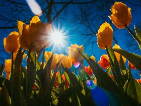 4 Tage Pfingst-Auszeit in Ueckermünde – Jetzt Frühbucherpreis sichern
