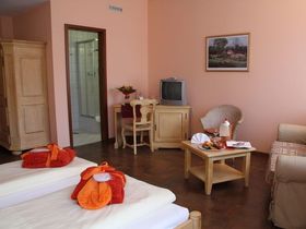 Wellness-Tage- einfach mal raus in den Harz inkl. Halbpension