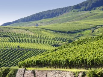 Sonnige Ferientage - 5 Tage im schönen Nahetal inkl. HP