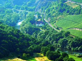 Sonnige Ferientage - 4 Tage im schönen Nahetal inkl. HP