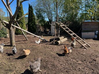 Bild 34 von 37