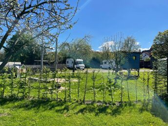 Bild 37 von 37