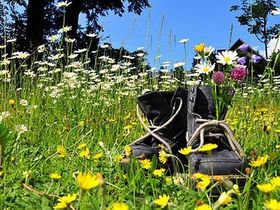 3 Tage Per Pedes durch den Spessart mit Frühstück und Lunchpaket