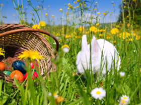 Osterhasen auf der Flucht - 4 Ostertage inkl. Salzgrotte und Osterhasen- Halbpension