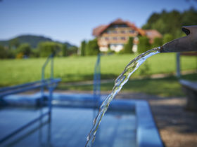 Schnupperangebot - 2 Tage im Schwarzwald