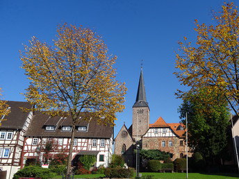 Bild 15 von 19