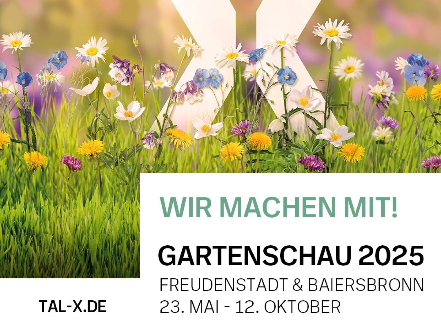 GartenschauZEIT3