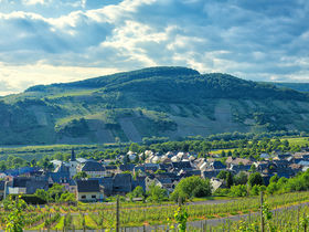Wandern zu jeder Jahreszeit an der Mosel 2025/2026