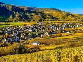 Wandern zu jeder Jahreszeit an der Mosel 2025/2026