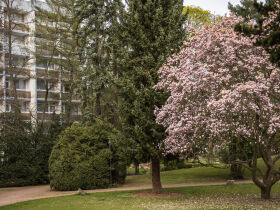 CaraWellness im Bäderhaus in Bad Kreuznach 