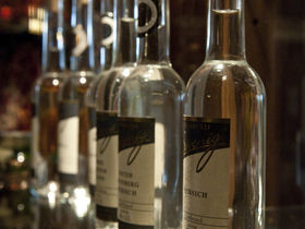 Mosel aktiv - Radlerurlaub an der Mosel