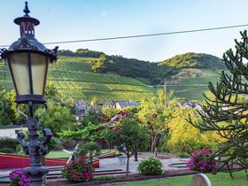 Mosel aktiv - Radlerurlaub an der Mosel