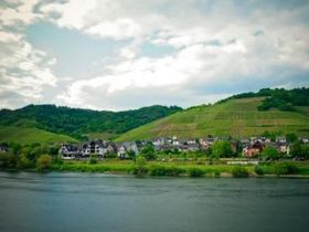 Mosel aktiv - Radlerurlaub an der Mosel