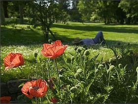 Kurzurlaub inkl. Frühstück im Vogelsberg-Spessart – Erholen Sie sich in idyllischer Natur | 6 Tage