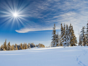 Silvester - Winterwonne 6 Tage