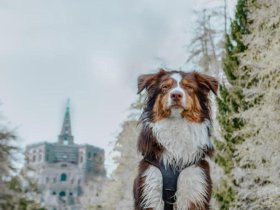 Ostern in Baunatal - 3 Nächte