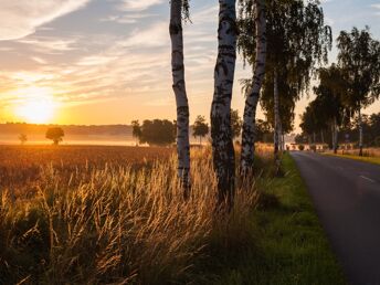 Bild 18 von 36