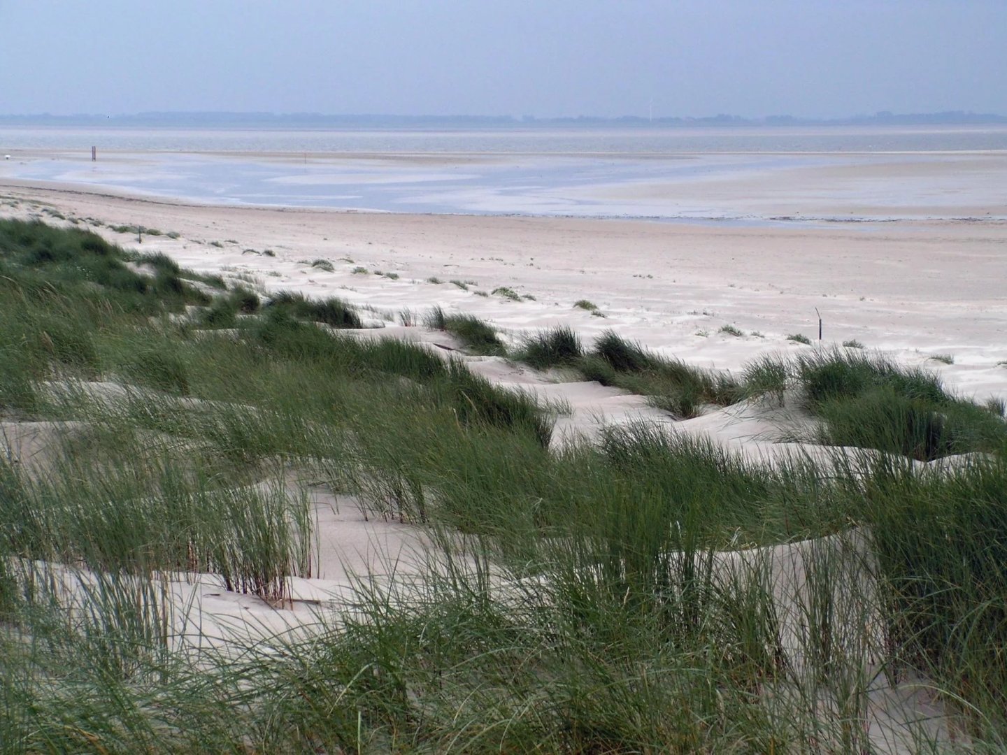 Residenz-Wochen in Wittmund inkl. Halbpension