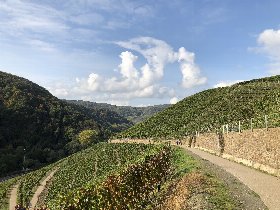 7=5 Aktion | 7 Tage am Rhein inkl. HP (nur 5 Tage zahlen)