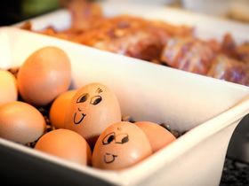 Thermen Kurztrip- 2 Tage mit Candle-Light-Dinner & Badewelt Sinsheim