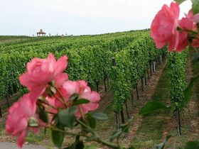 Thermen Kurztrip- 2 Tage mit Candle-Light-Dinner & Badewelt Sinsheim