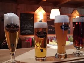 Eiskristalltage im Bayerischen Wald inkl. Abendessen & Wellness