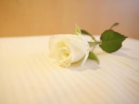 3 Tage | Kurzurlaub am Rhein 